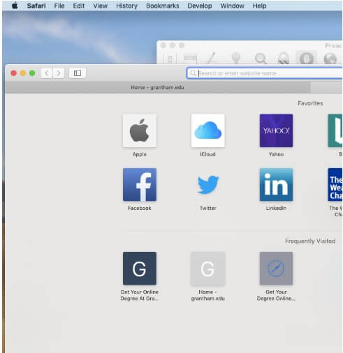 Open your Safari browser.