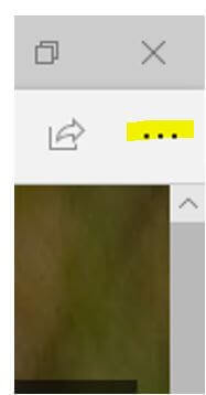 Click on the settings option on the top right of the browsing session.