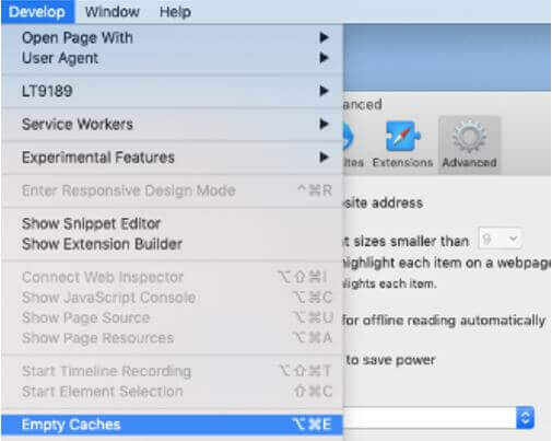 A new window will appear. Select the Advanced tab and then click on Develop. Within this drop-down menu, select the option to Empty Caches.