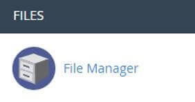 Click on File Manager.