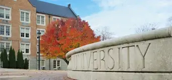 Picture of a university